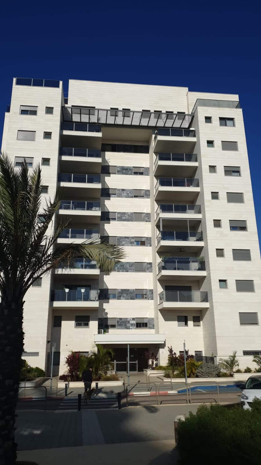 בדק בית נס ציונה